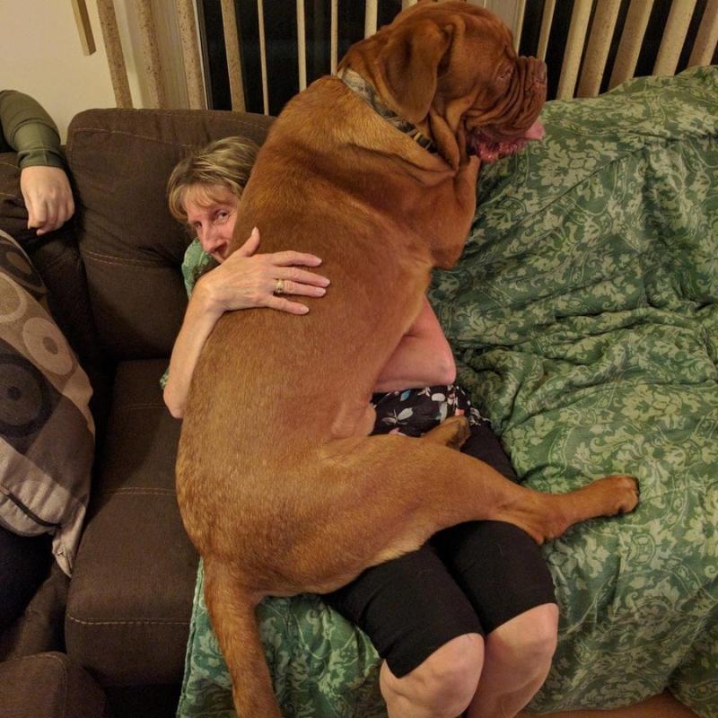 ������ ��������