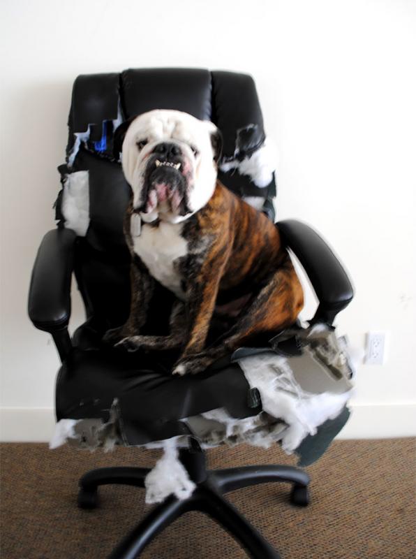 ������ ��������