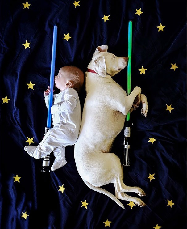 ������ ��������