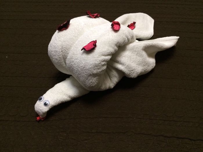 ������ ��������