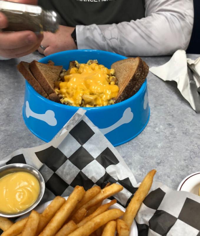 ������ ��������