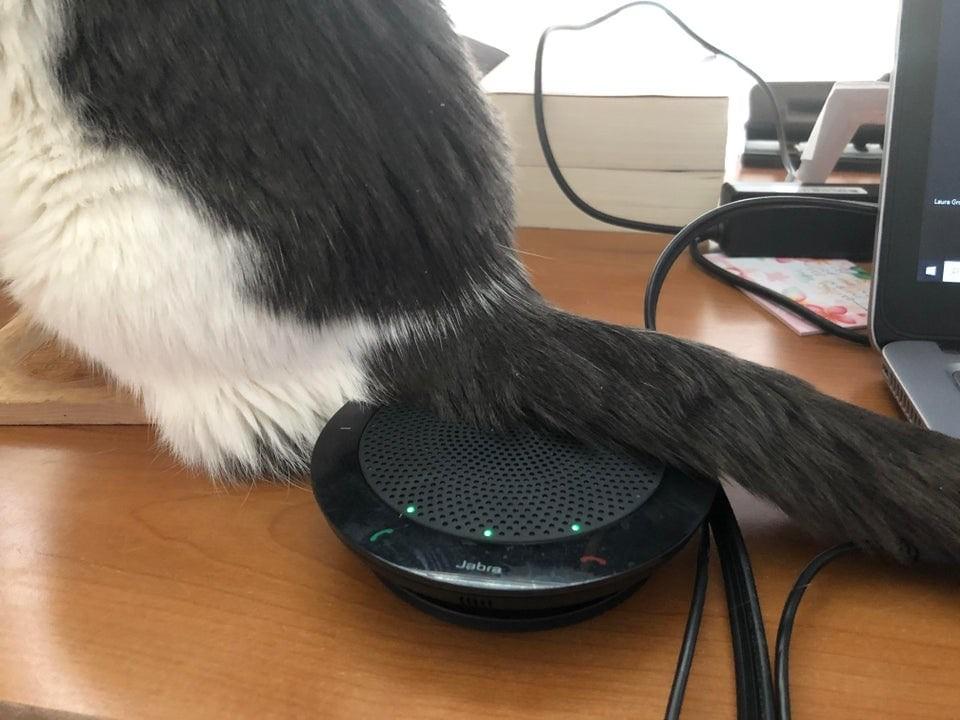 ������ ��������