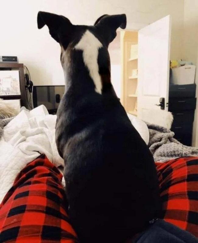 ������ ��������