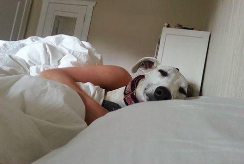 ������ ��������