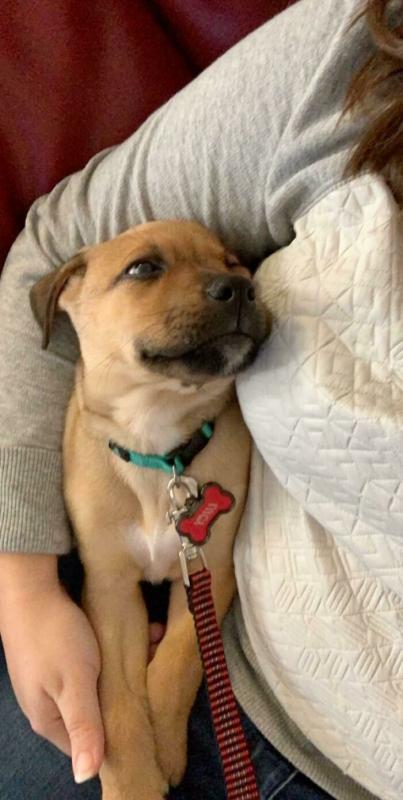 ������ ��������