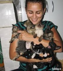 ������ ��������