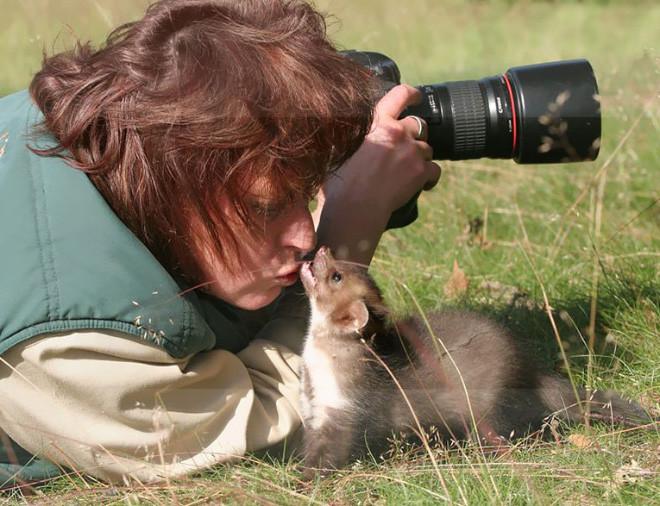 ������ ��������