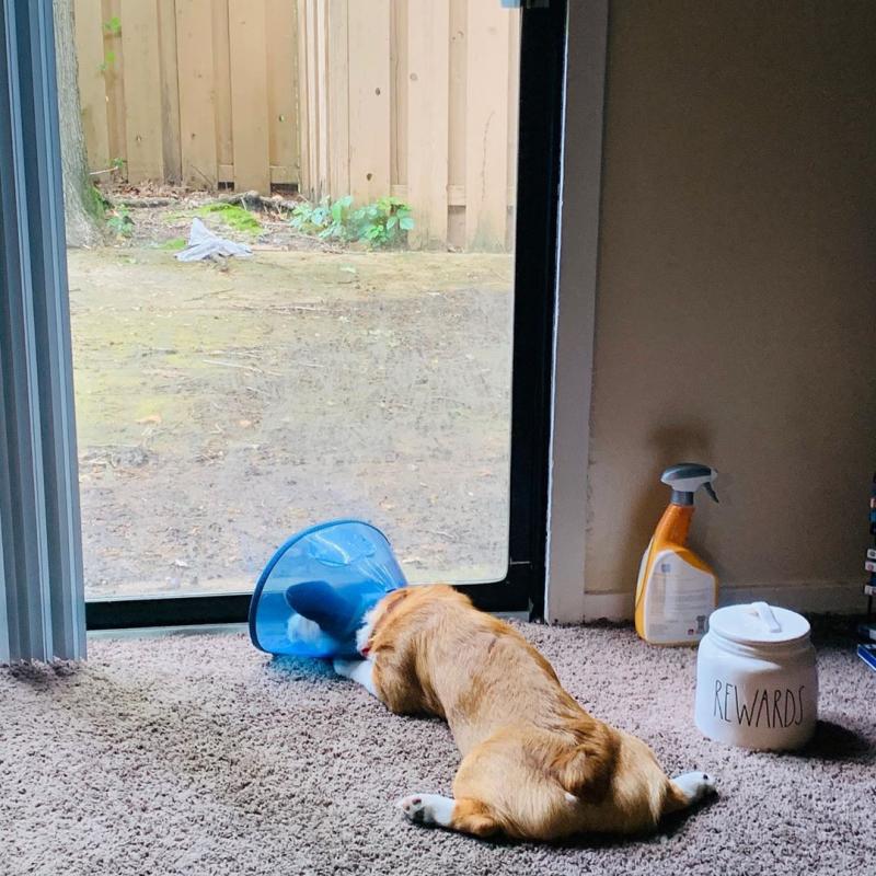 ������ ��������