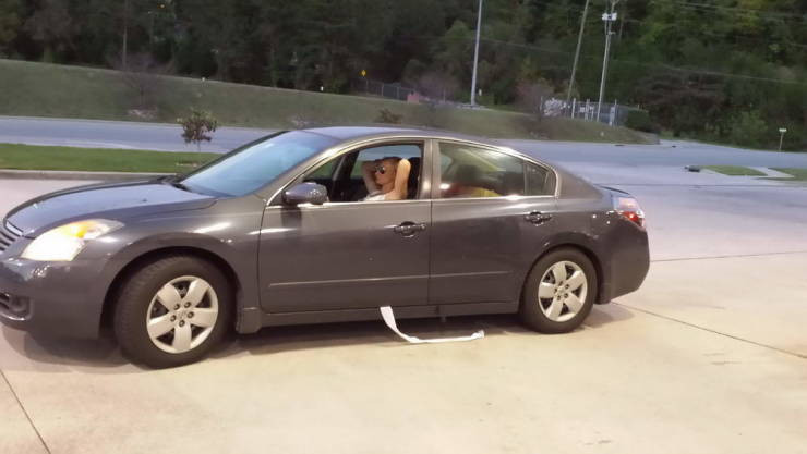 ������ ��������