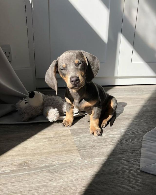 ������ ��������