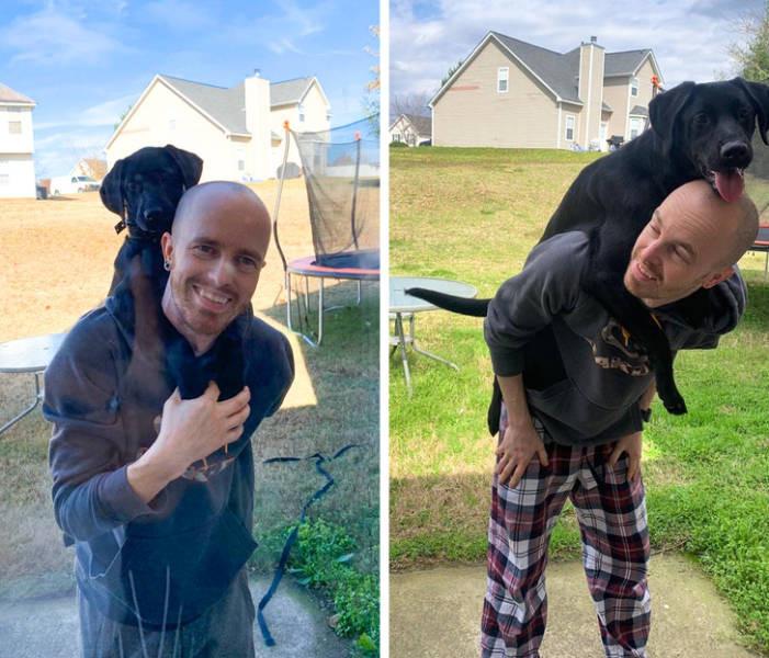 ������ ��������