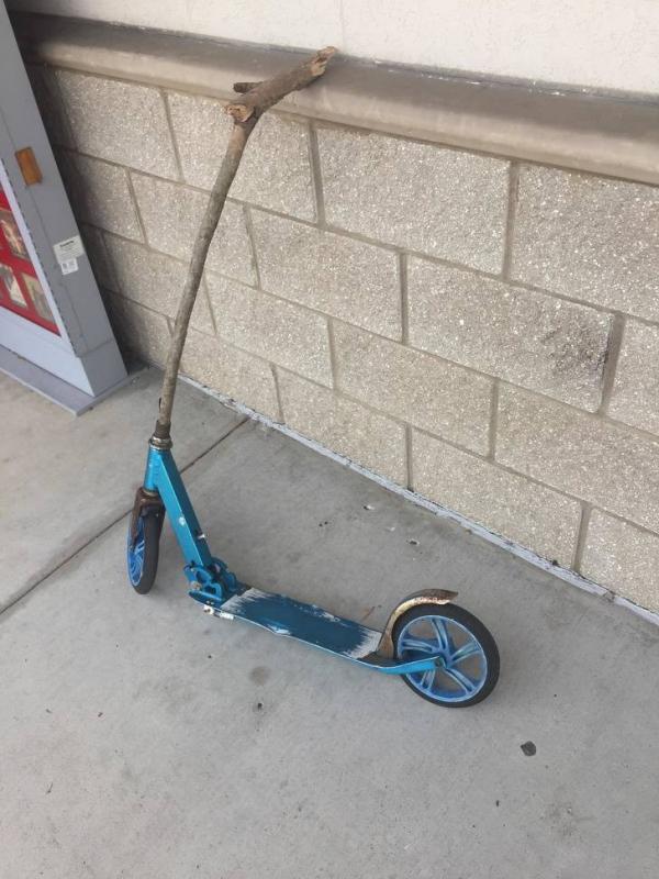 ������ ��������