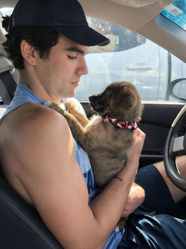 ������ ��������