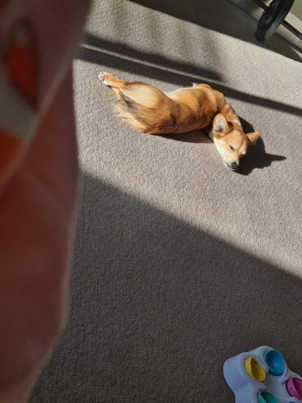 ������ ��������