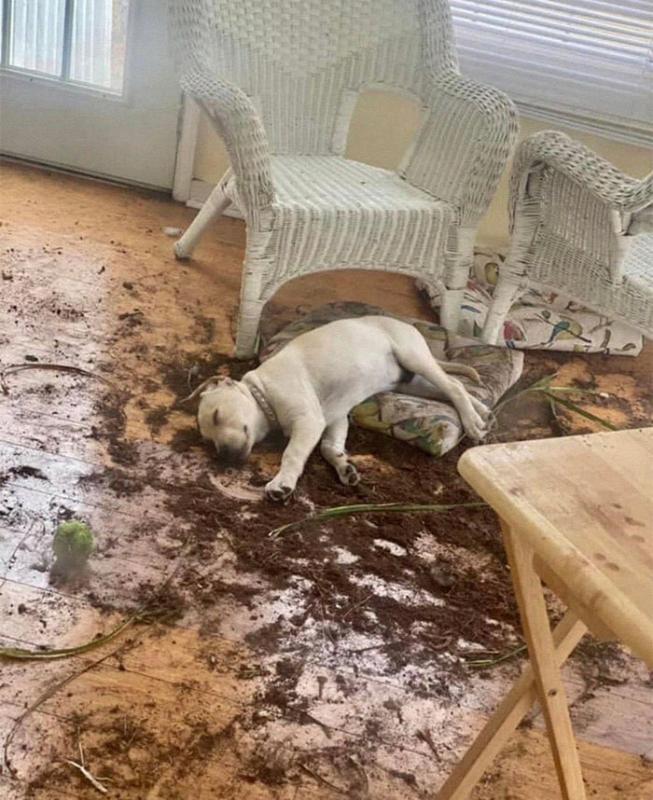 ������ ��������