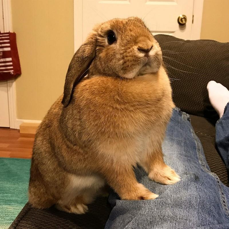 ������ ��������