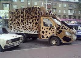 ������ ��������