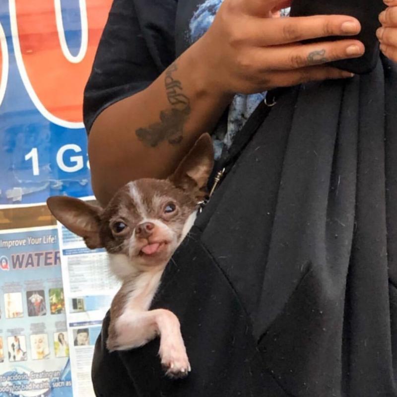 ������ ��������