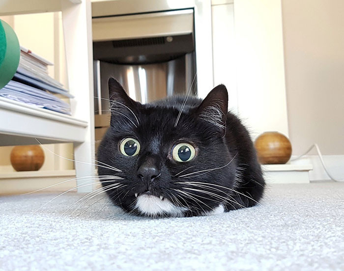 ������ ��������