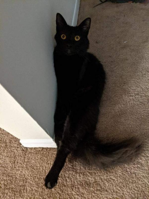 ������ ��������