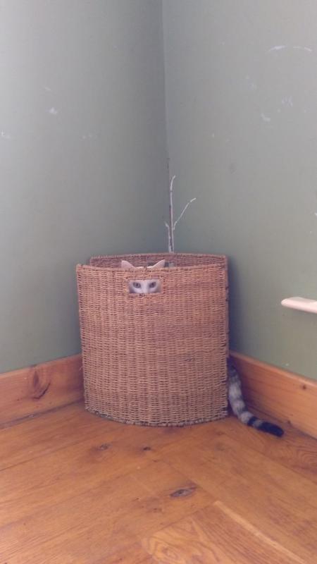 ������ ��������