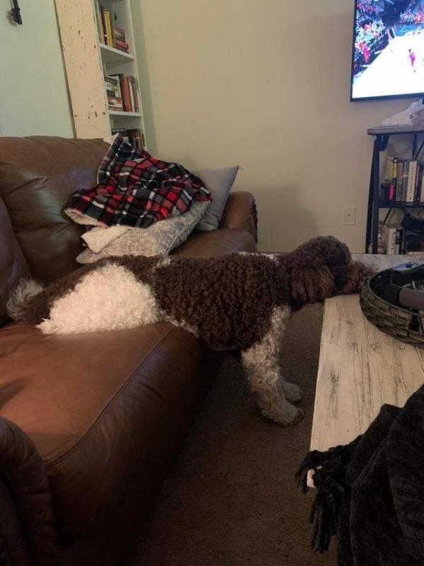 ������ ��������