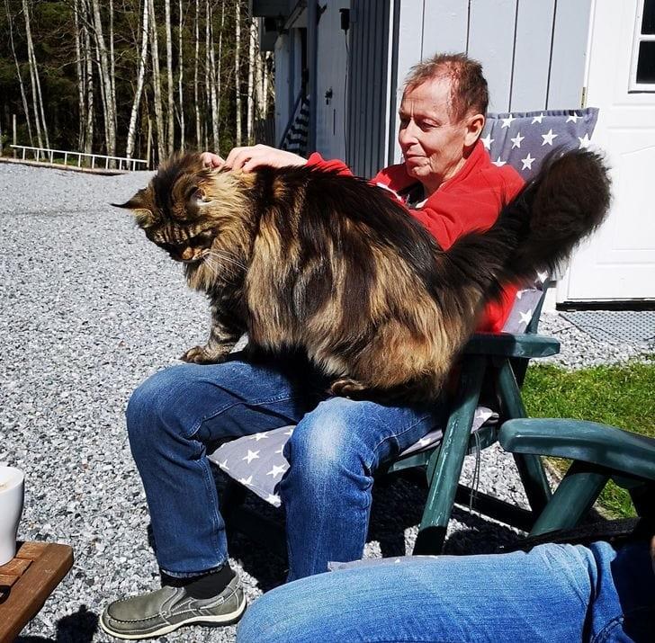 ������ ��������