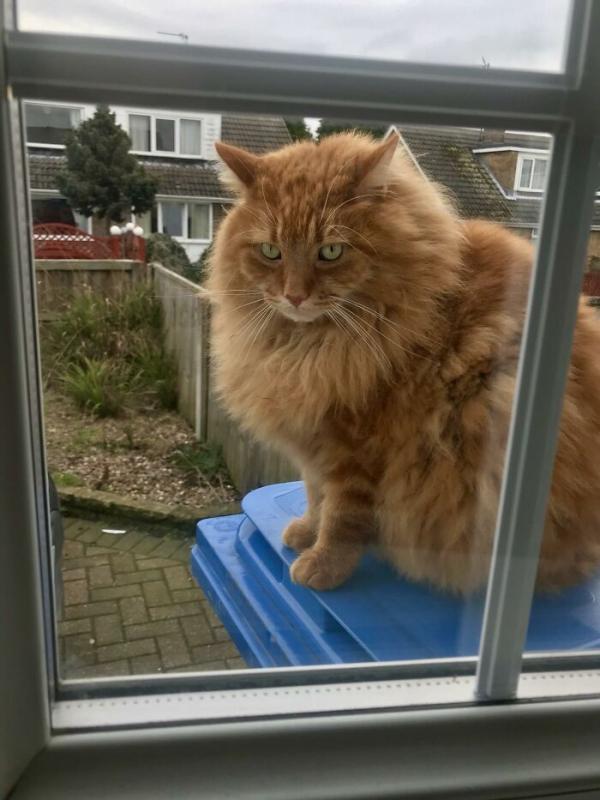 ������ ��������