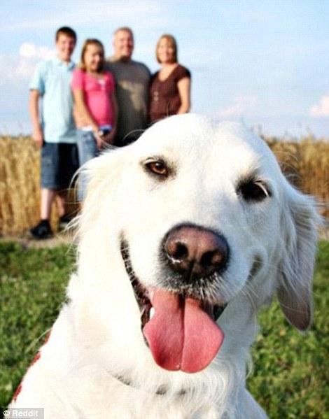 ������ ��������