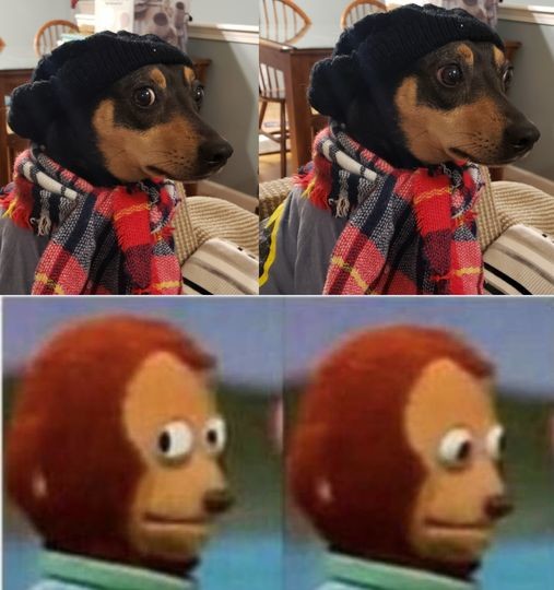 ������ ��������