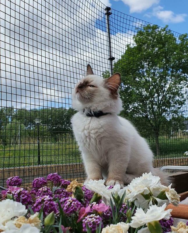 ������ ��������