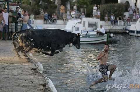 ������ ��������