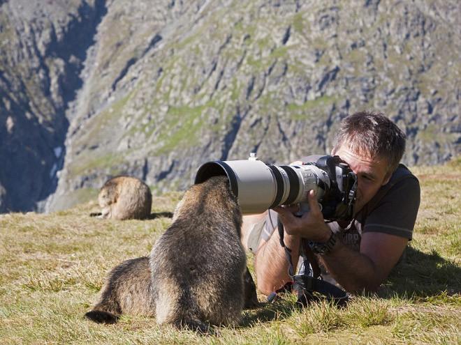 ������ ��������