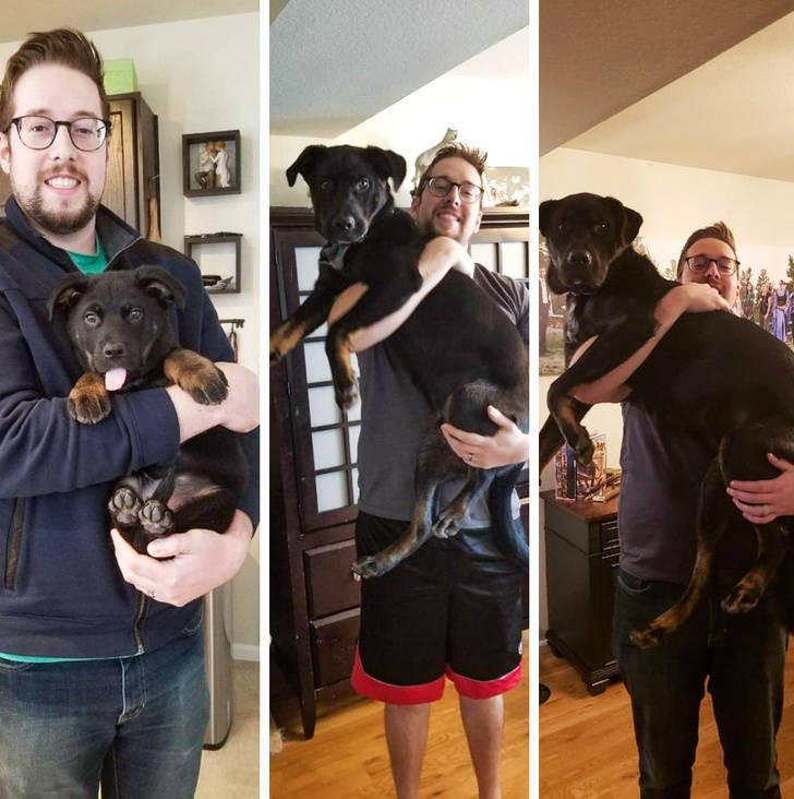 ������ ��������