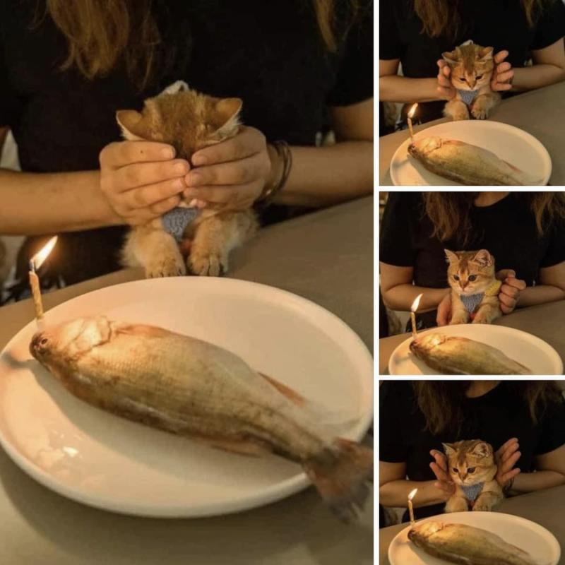 ������ ��������