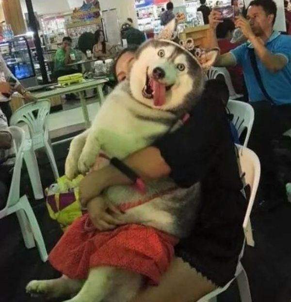 ������ ��������