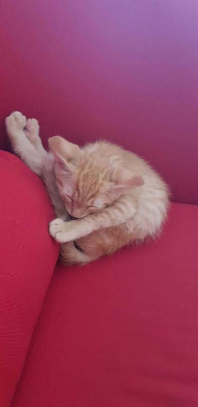 ������ ��������