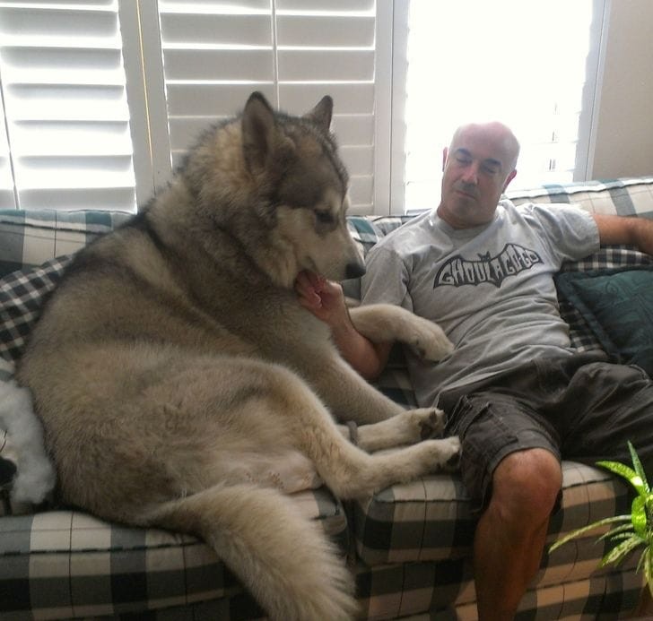 ������ ��������