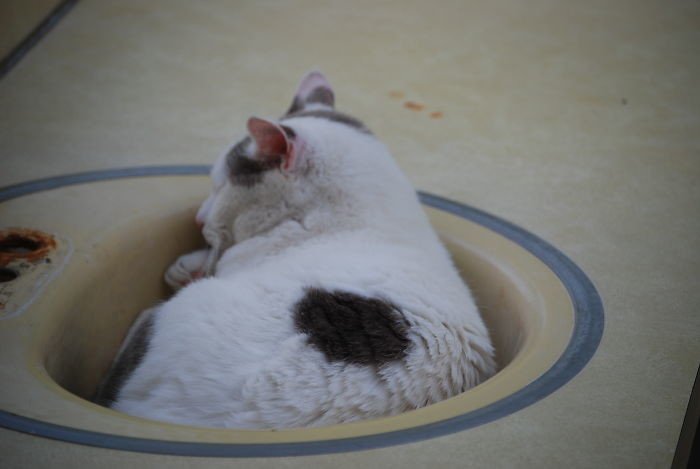 ������ ��������