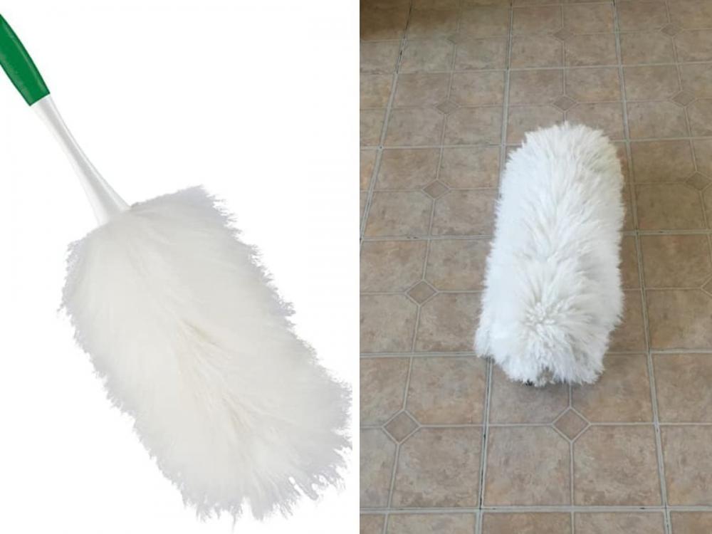 ������ ��������