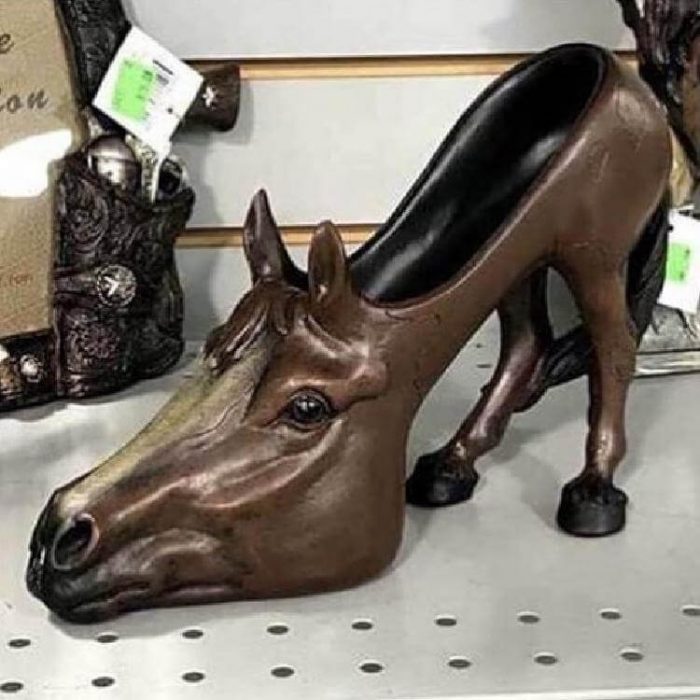 ������ ��������