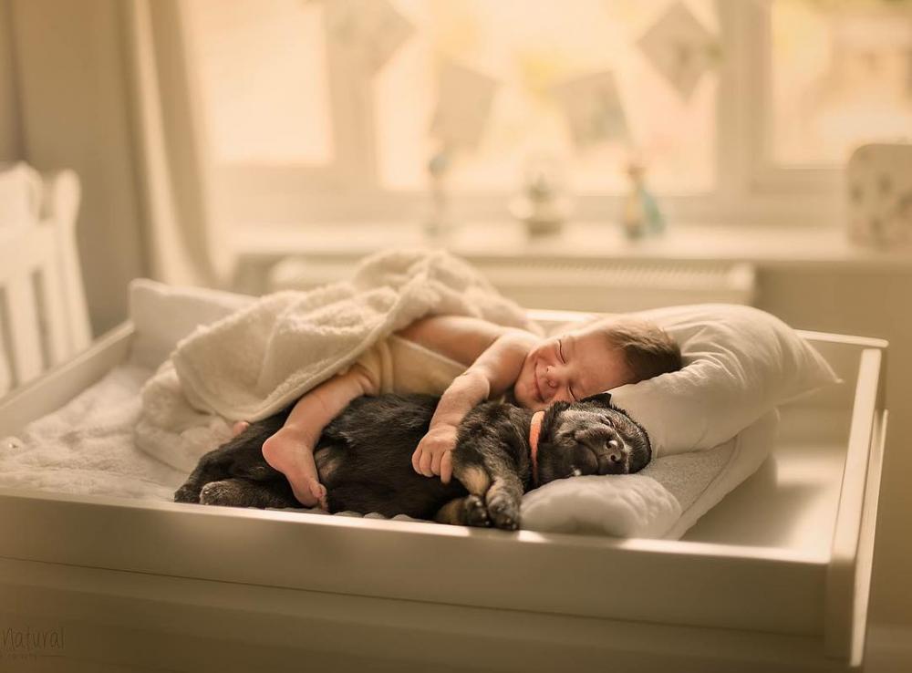 ������ ��������