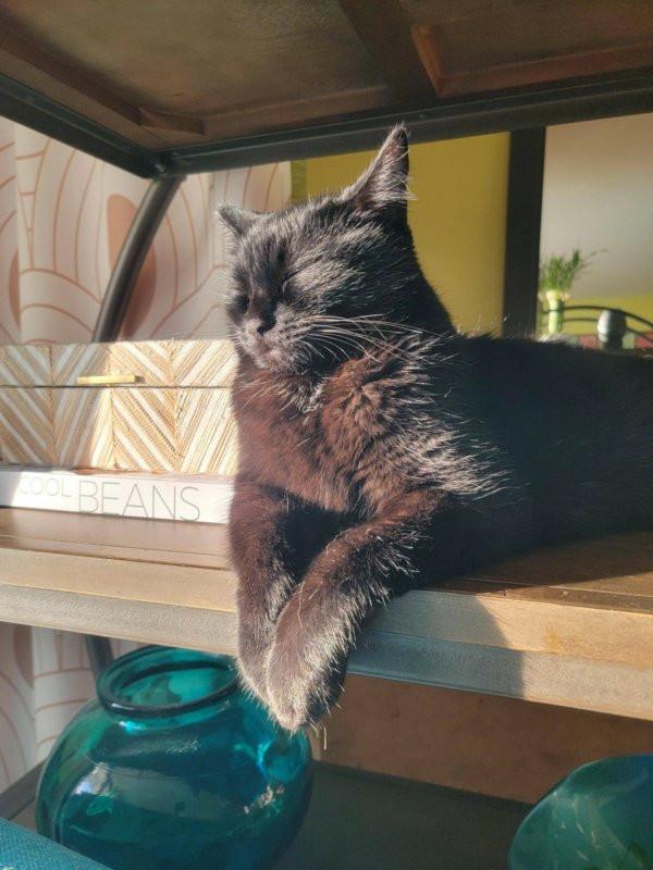 ������ ��������