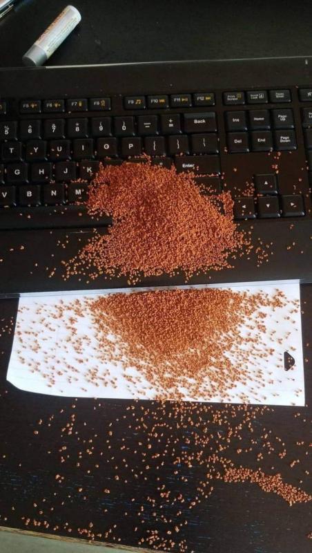 ������ ��������