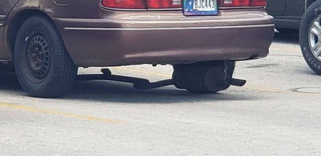 ������ ��������