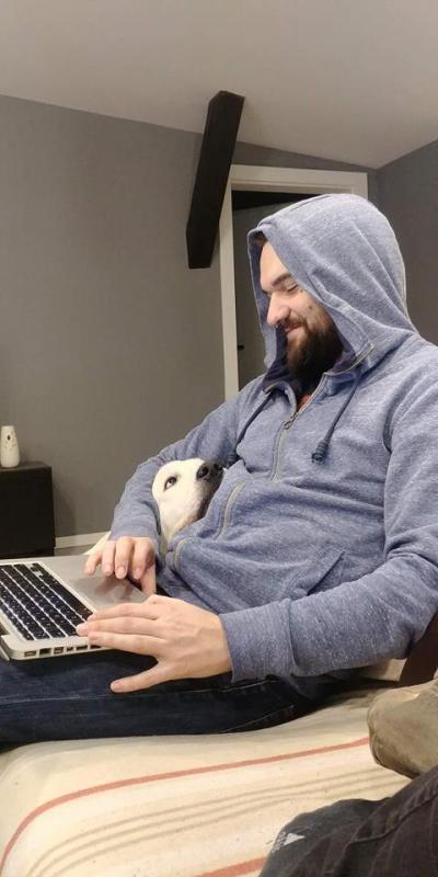 ������ ��������