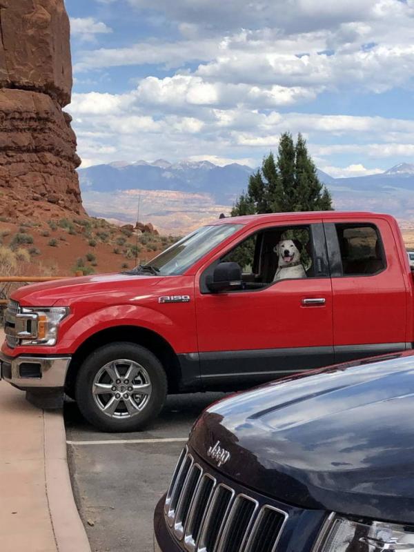 ������ ��������