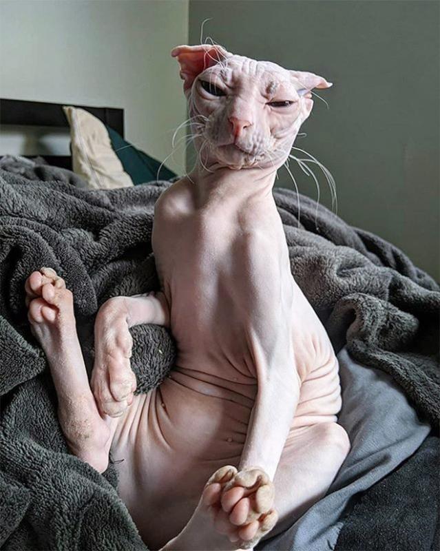 ������ ��������