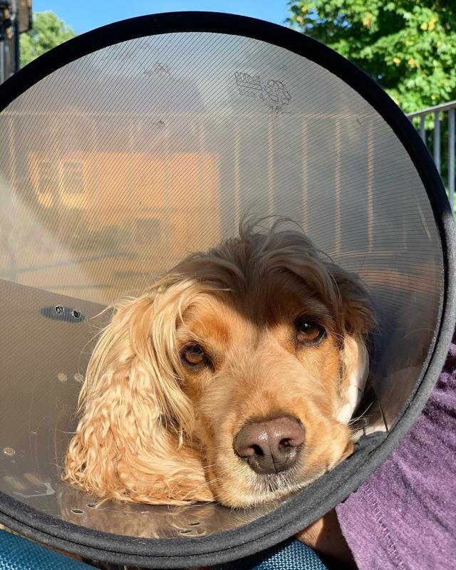 ������ ��������