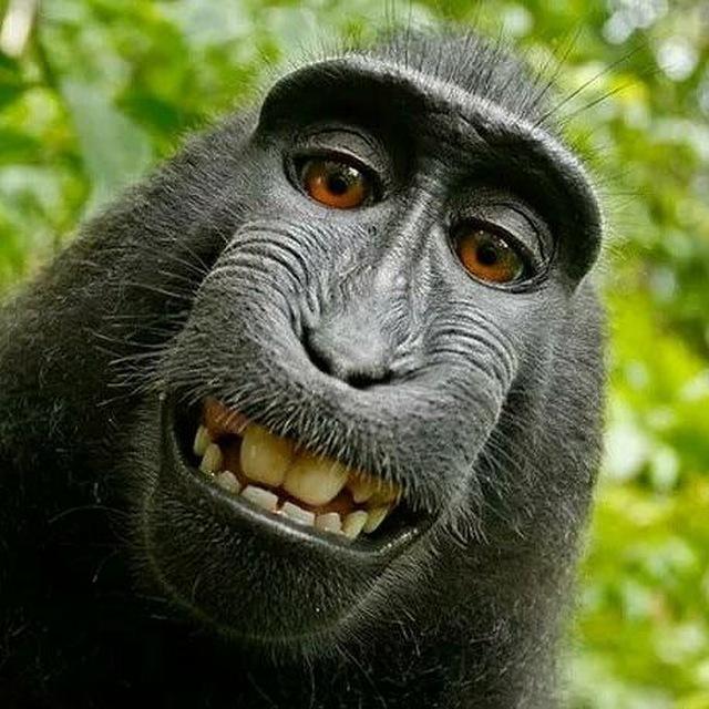 ������ ��������